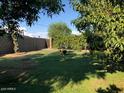 Spacious backyard featuring a privacy wall, mature trees, and lush green lawn ideal for outdoor enjoyment at 3116 W Dailey St, Phoenix, AZ 85053