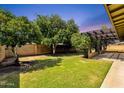 Lush backyard featuring mature trees, a well-manicured lawn, and a covered patio area at 3537 W Shangri La Rd, Phoenix, AZ 85029
