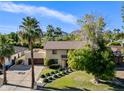 Attractive property showcasing a sprawling lawn and mature palm trees at 538 W Las Palmaritas Dr, Phoenix, AZ 85021