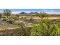 Picturesque view of the golf course and mountains behind this charming desert home at 25979 W Taro Dr, Buckeye, AZ 85396