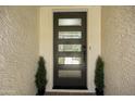 Modern front door with glass panels flanked by symmetrical potted plants at 10538 E Gold Dust Cir, Scottsdale, AZ 85258