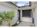 Stylish entryway with white textured walls, palm tree in pot and gray trim at 6550 W Wolf St, Phoenix, AZ 85033