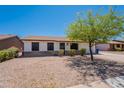 Charming single-story home featuring a well-manicured front yard, desert landscaping, and inviting curb appeal at 215 S 132Nd St, Chandler, AZ 85225
