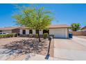 Charming single-story home featuring a well-manicured front yard, desert landscaping, and inviting curb appeal at 215 S 132Nd St, Chandler, AZ 85225