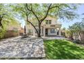 Inviting backyard featuring a spacious patio, shade tree, and lush lawn, perfect for outdoor entertaining at 31259 N 42Nd Pl, Cave Creek, AZ 85331