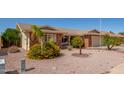 Attractive single-Gathering home featuring desert landscaping and a colorful flowering bush at 7839 E Milagro Ave, Mesa, AZ 85209
