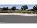 Scenic view of a community park featuring lush green space, mature trees, and playground equipment at 17074 W Seldon Ln, Waddell, AZ 85355