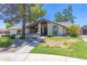 Inviting single-story home with stone accents, a well-manicured lawn, and vibrant green landscaping at 3611 E Dartmouth Cir, Mesa, AZ 85205