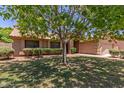 Beautiful home with mature tree in the front yard, showcasing a well-manicured lawn and landscaping at 408 W Stacey Ln, Tempe, AZ 85284