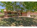Front yard view showcasing a mature tree providing shade, lush green lawn, and well-maintained landscaping at 408 W Stacey Ln, Tempe, AZ 85284