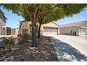 Well-maintained single-story home with a two-car garage, mature trees, and a neat front yard in a residential neighborhood at 874 E Lamonte St, San Tan Valley, AZ 85140