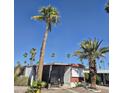 Charming single-story home with multiple mature palm trees, a covered patio and low-maintenance gravel landscaping at 303 S Recker Rd # 98, Mesa, AZ 85206