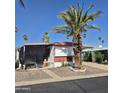 Inviting single-story home with a well-manicured yard, mature palm trees, and a covered front patio at 303 S Recker Rd # 98, Mesa, AZ 85206