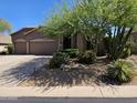 Charming single-story home featuring a well-maintained front yard with mature trees and shrubs at 7722 E Wolf Canyon St, Mesa, AZ 85207