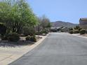 Street view of quiet neighborhood featuring desert landscaping and mountain views at 7722 E Wolf Canyon St, Mesa, AZ 85207