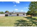 Expansive backyard featuring lush green grass and a mature shade tree at 1050 W 9Th Pl, Mesa, AZ 85201