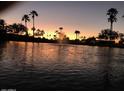 Scenic lake view at sunset, reflecting silhouetted palm trees and foliage in the calm water at 694 W Beechnut Dr, Chandler, AZ 85248