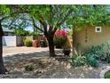Landscaped front yard with desert plants, trees, and a view of the house number at 7246 E Virginia Ave, Scottsdale, AZ 85257