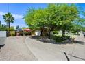 Home's exterior view featuring a circular driveway, mature trees, and desert landscaping at 7246 E Virginia Ave, Scottsdale, AZ 85257