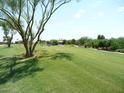 Expansive green golf course view with mature trees and blue skies in a well-maintained community at 8541 E Krail St, Scottsdale, AZ 85250