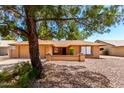 Charming single-story home with a desert landscape and mature shade tree at 9645 W Kimberly Way, Peoria, AZ 85382