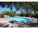 Backyard pool surrounded by mature trees and desert landscape at 6608 E Ranch Rd, Cave Creek, AZ 85331