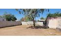 Large backyard with mature tree, offering a private and tranquil outdoor space, ideal for relaxation at 3541 W Monona Dr, Glendale, AZ 85308