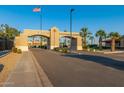Welcoming entrance to Ventana Lakes with mature palm trees and well-maintained landscaping at 11065 W Runion Dr, Peoria, AZ 85373