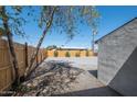 Spacious backyard with a wood fence, small trees, and an easy to maintain landscape at 826 S Drew St, Mesa, AZ 85210