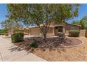 Beautiful single-story home with mature landscaping and a well-maintained front yard at 10318 E Plata Ave, Mesa, AZ 85212