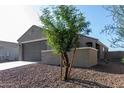 Beige home with a tree in the front yard at 3704 E Haflinger Rd, San Tan Valley, AZ 85140