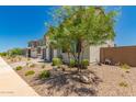Landscaped front yard with a young tree, gravel, and desert plants creating a serene outdoor space at 40141 W James Ln, Maricopa, AZ 85138