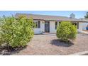 Quaint single-story home with lovely curb appeal and decorative plants in the front yard at 2337 E Contessa St, Mesa, AZ 85213