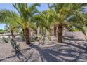 Lush desert landscape design featuring cactus, aloe and palm trees in the front of the home at 4928 E Paradise Ln, Scottsdale, AZ 85254