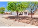 Attractive single-story residence with a two-car garage, desert landscaping, and mature trees providing shade at 1858 S Ocotillo Dr, Apache Junction, AZ 85120