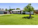 Traditional-style home with lush green grass, mature shade tree, and neutral-colored exterior at 215 W Ruth Ave, Phoenix, AZ 85021