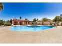 Community pool area featuring a refreshing blue pool, lounge chairs, and shaded areas for residents to enjoy at 633 W Southern Ave # 1181, Tempe, AZ 85282