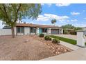 Landscaped front exterior of this one-story home with desert landscaping, a long driveway, and a lush green lawn at 932 W Julie Dr, Tempe, AZ 85283