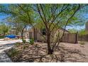 View of the landscaped front yard and driveway leading to the two-car garage at 1965 N 213Th Dr, Buckeye, AZ 85396