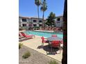 Relaxing pool area with lounge chairs, patio furniture, palm trees, and community condos at 1941 S Pierpont Dr # 2062, Mesa, AZ 85206