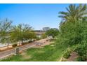 Scenic view of a neighborhood park with mature trees, a walking path, and buildings in the distance at 945 E Playa Del Norte Dr # 1016, Tempe, AZ 85288