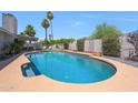 Private backyard pool with a tanning deck, perfect for relaxing and entertaining at 11446 N 109Th St, Scottsdale, AZ 85259