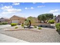 Beautiful single-story house featuring a xeriscaped front yard with mature trees and desert landscaping at 17009 W Eureka Springs Dr, Surprise, AZ 85387