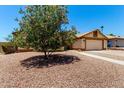 Well-maintained front yard with desert landscaping and a mature flowering tree at 19206 N 40Th St, Phoenix, AZ 85050