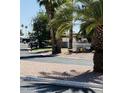 Community street view showcasing desert landscaping, mature trees and a glimpse of community amenities at 9501 E Broadway Rd # 68, Mesa, AZ 85208