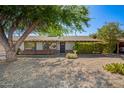 Charming single-story home with a well-maintained front yard with mature tree offering shade at 48 S Catalina St, Gilbert, AZ 85233