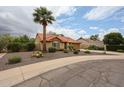 Inviting single-story home boasting desert landscaping and a prominent palm tree at 9085 E Windrose Dr, Scottsdale, AZ 85260