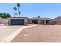 Single-story home featuring mature palm trees and a low-maintenance desert landscape at 1809 S Heritage --, Mesa, AZ 85210
