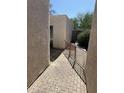 Outdoor patio with a walkway leads to the entrance at 1913 S River Dr, Tempe, AZ 85281