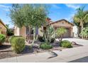 Attractive home featuring a well-maintained yard, desert landscaping, and a brick-accented garage at 119 E Camellia Way, San Tan Valley, AZ 85140
